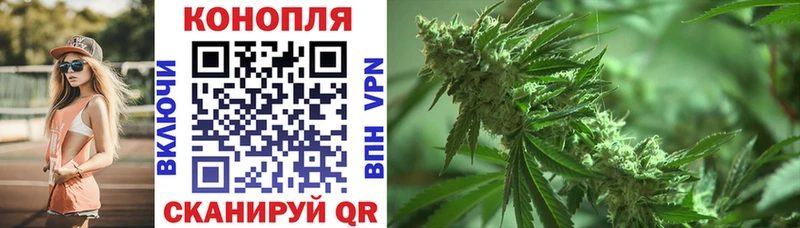 Купить наркотики сайты Волгореченск СК NBOMe МЕФ Галлюциногенные грибы Гашиш Конопля