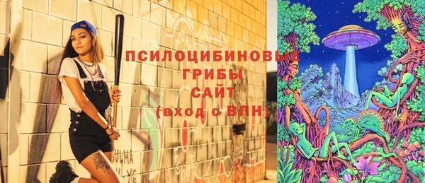 мдпв Богородицк
