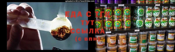 мдпв Богородицк