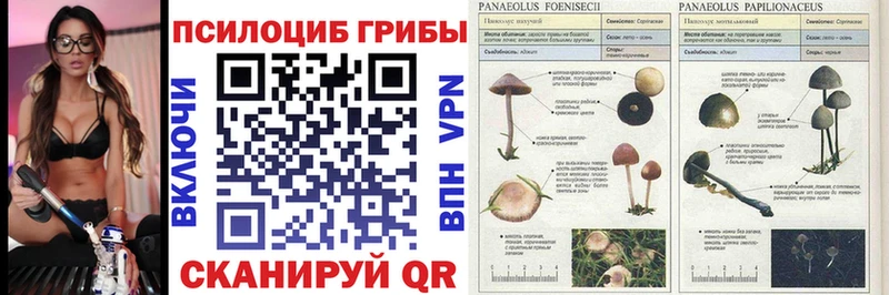 Псилоцибиновые грибы ЛСД  Волгореченск 
