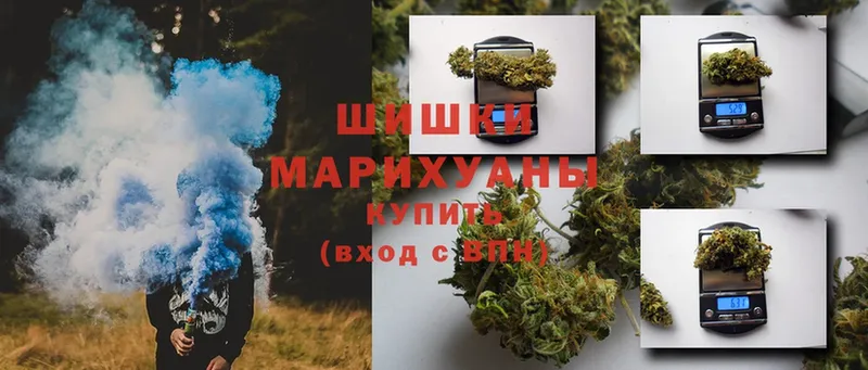 Шишки марихуана THC 21%  Волгореченск 